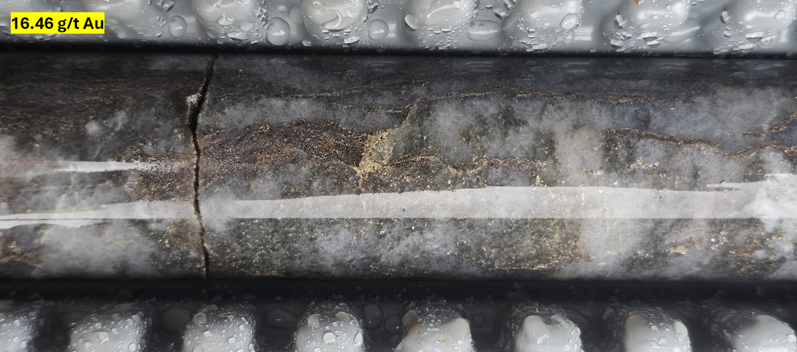 Strong silicification and pyrrhotite-pyrite alteration in BBH-03 at 47 m down hole